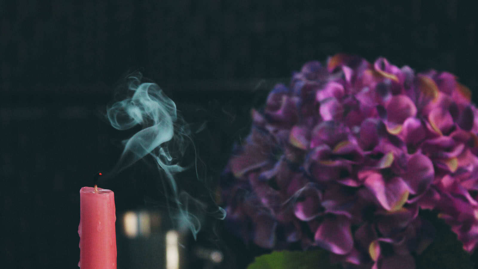 candle-blossom